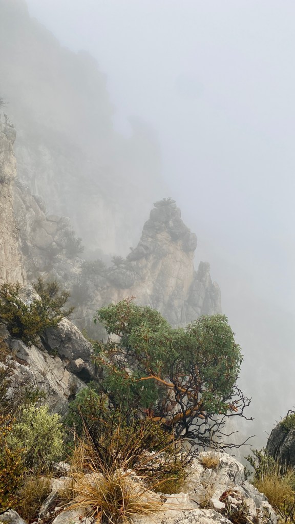 Foggy landscape featuring rocky terrain and shrubs in Guadalupe Mountain National Park.