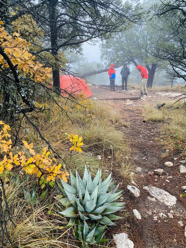 Three campers in red jackets stand near a tent amidst foggy conditions in Guadalupe Mountain National Park, surrounded by yellow and green foliage.