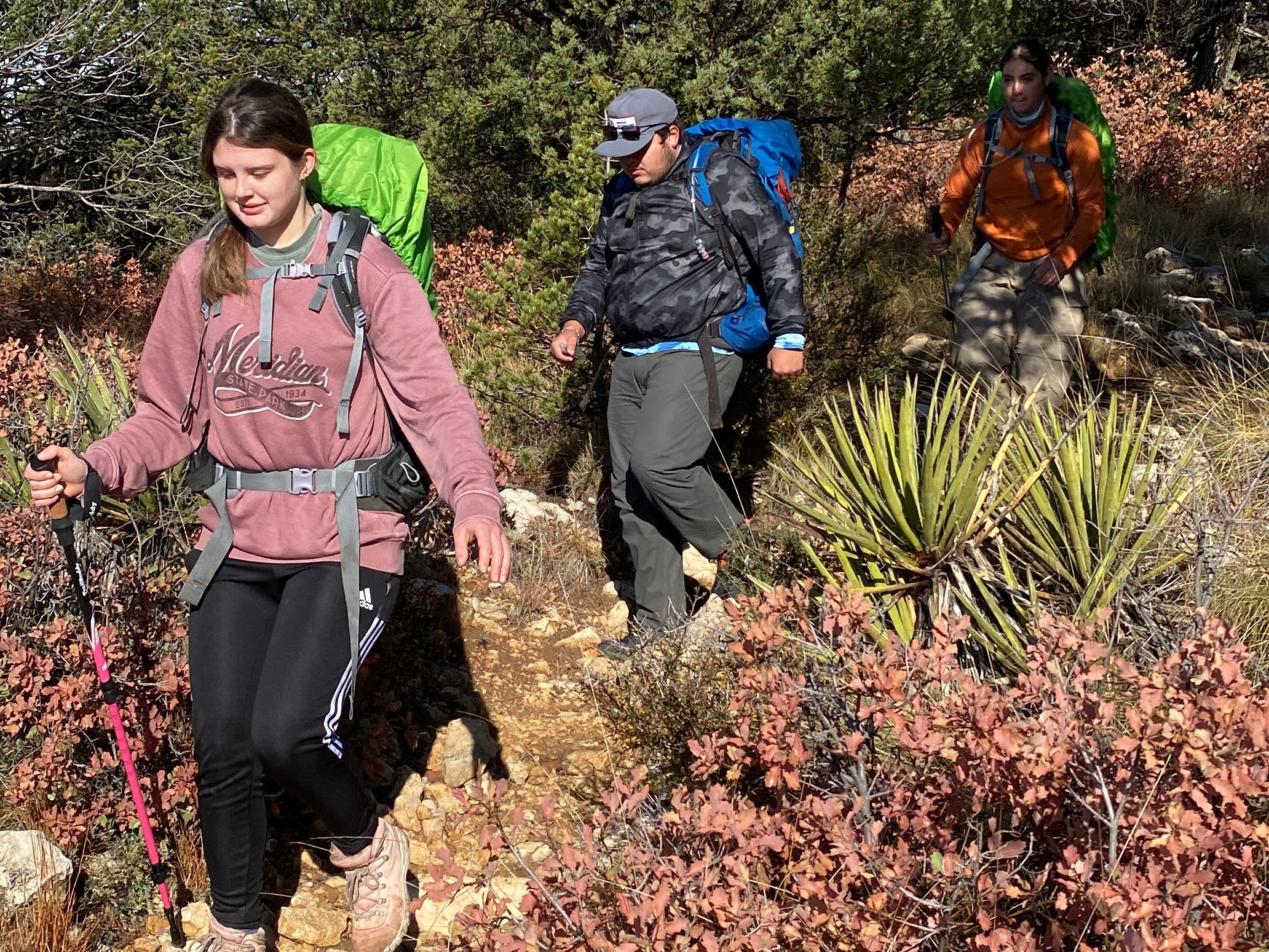 Three students from Texas Tech University's Bridge Adventure Program hiking on a trail in Guadalupe Mountain National Park, wearing backpacks and using trekking poles.